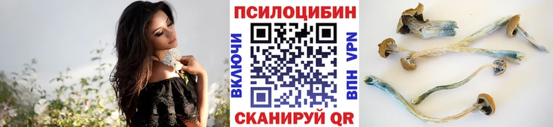 Псилоцибиновые грибы MAGIC MUSHROOMS Оха